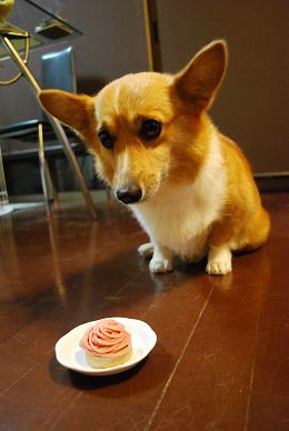 ケーキを食すワケですが….JPG