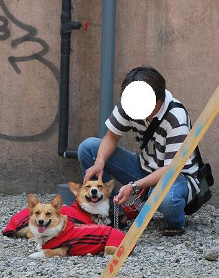 いきなり職務放棄・・・.JPG