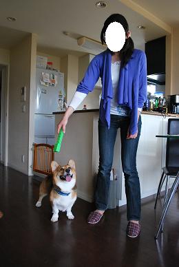 すぐに遊びを催促する。.JPG