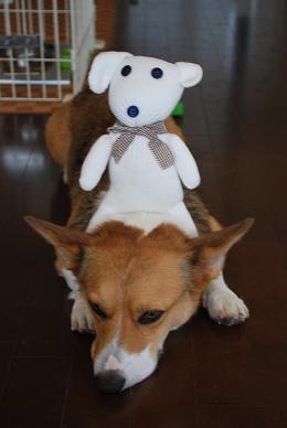 やっぱり、こうなるんですか….JPG