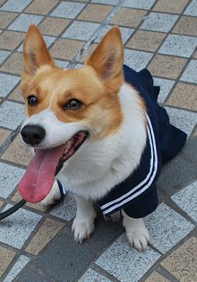 メッチャ笑顔!!!.JPG