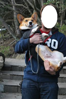 リスザルに怯えるまめ太郎さん。.JPG