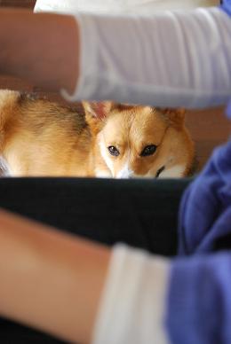 完全に狙っている。.JPG