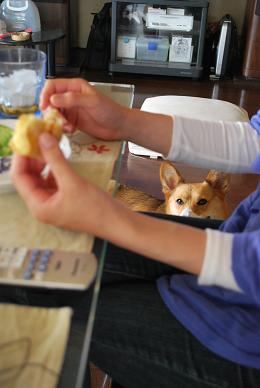 視線を感じる….JPG