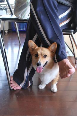 避難中です。.JPG