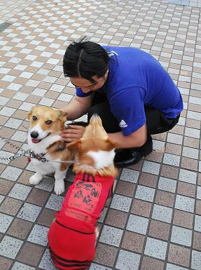 片付けの間におにいちゃんのにご挨拶。.JPG