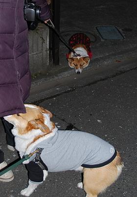 またココで大きなトラウマを抱える事になる。.JPG