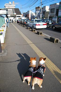何度も引き返そうとしながら….JPG