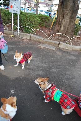 強烈な一撃でお迎え….JPG
