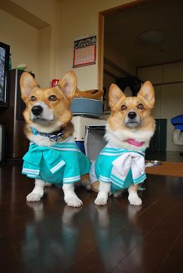 待ちに待ったこの日がやってまいりました。.JPG