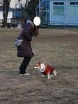 WINちゃん、ママさんの周りで….JPG